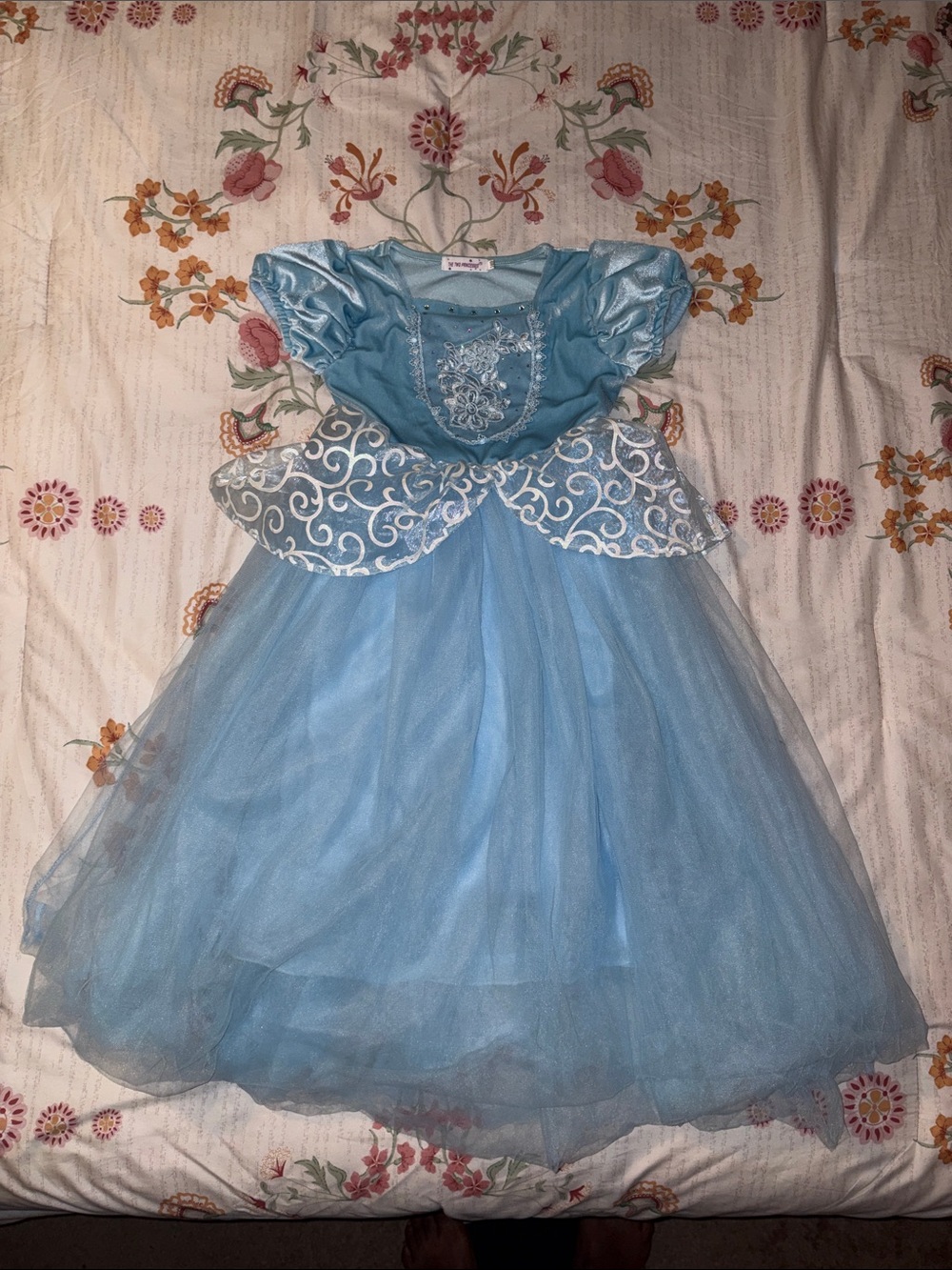 Disney Light Blue Princess Tulle Gown